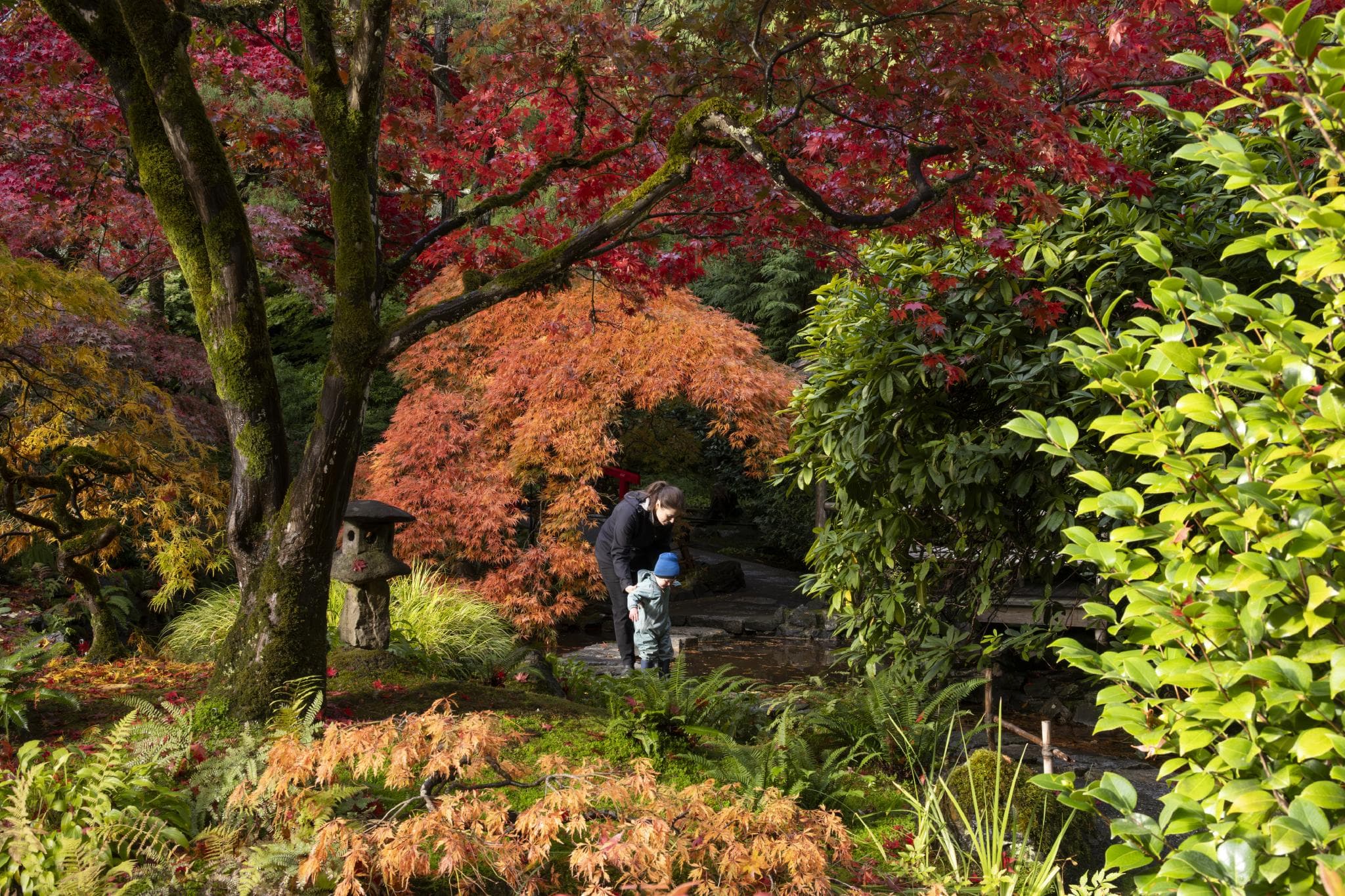 Butchart Gardens