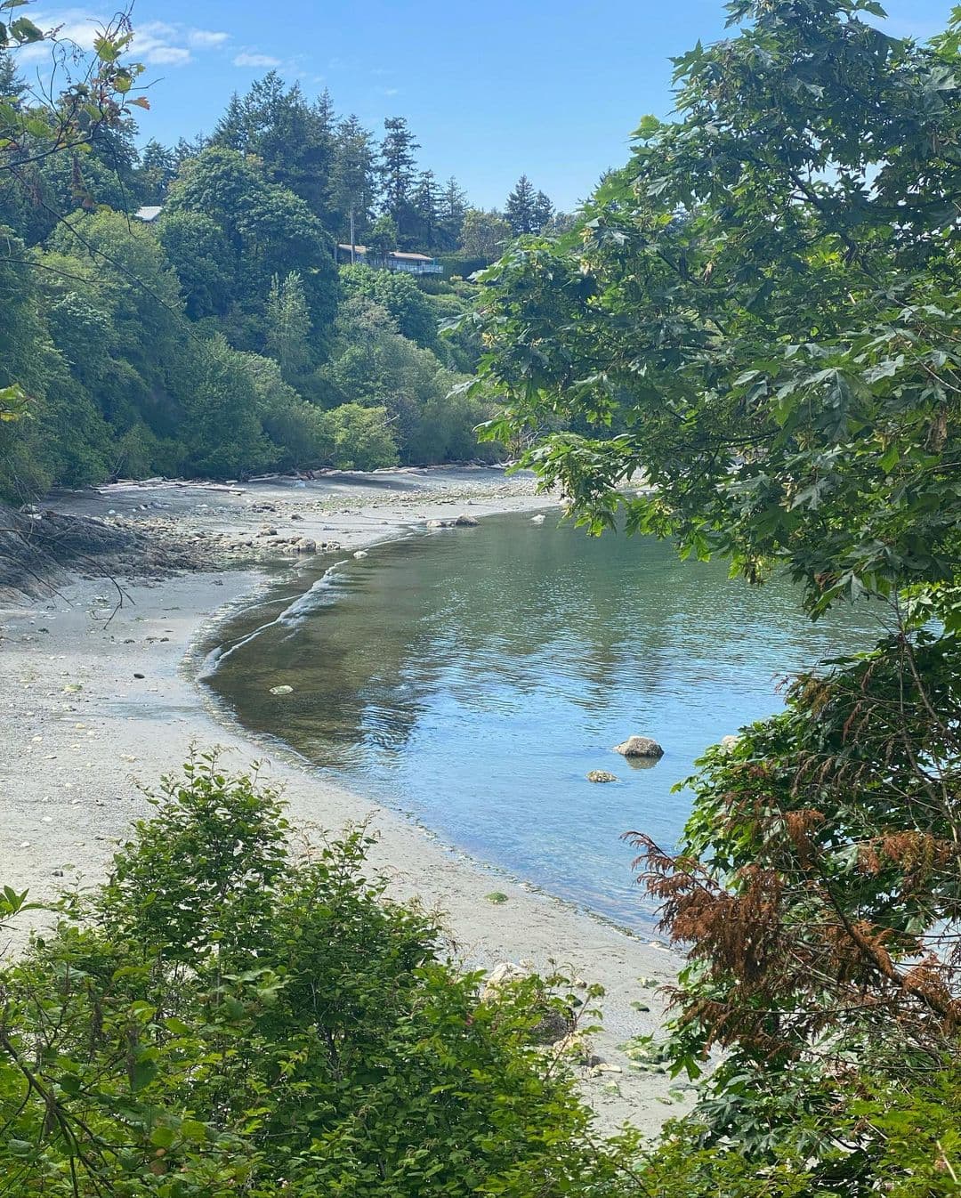 Arbutus Cove