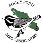 Rocky Point Observatory