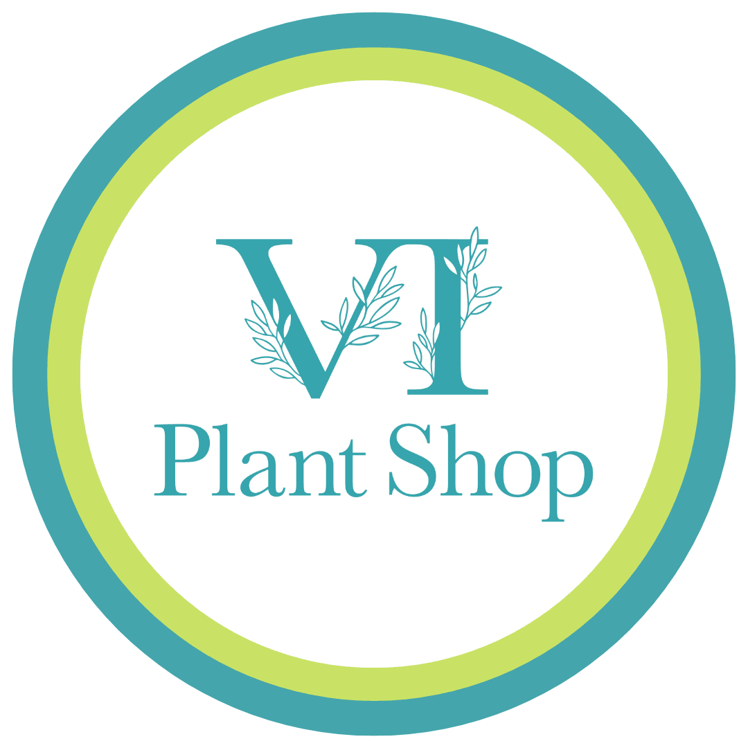 VI Plant Shop