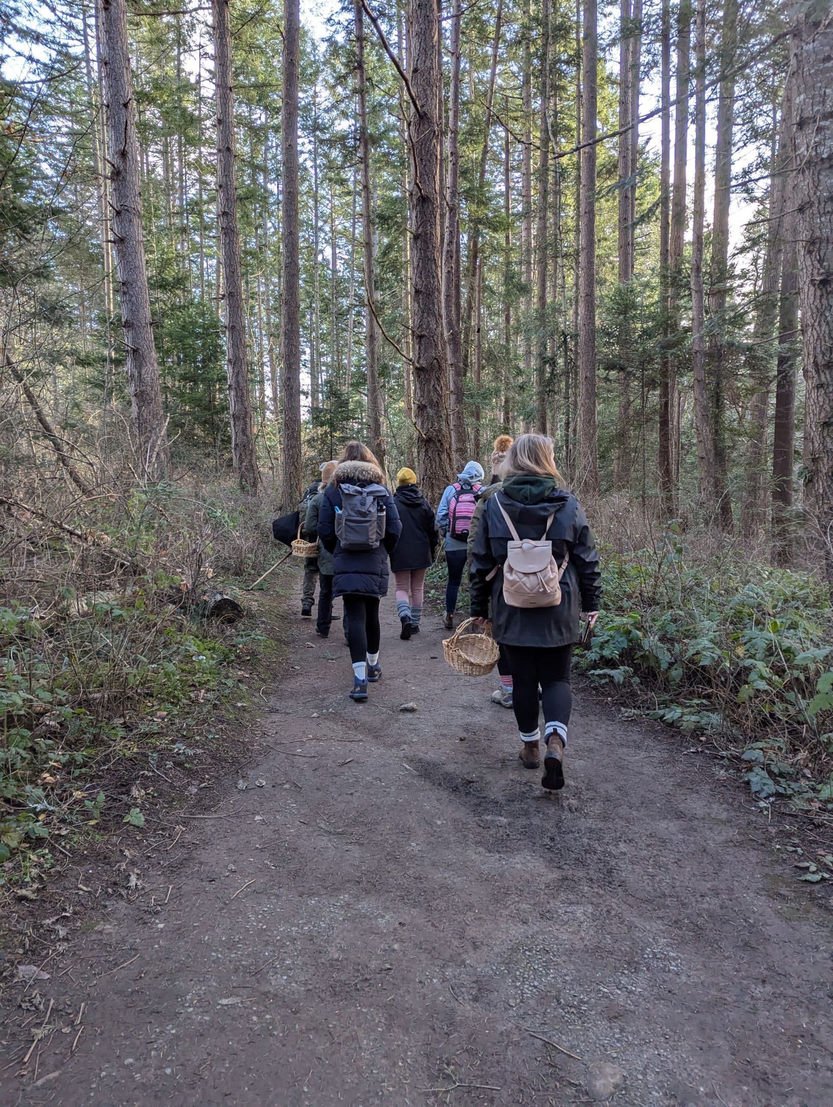 Forage for Your Dinner: A Foraging Walk and Dinner at Greater Victoria: foraging walk on the Westshore followed by dinner at the Courtney Room