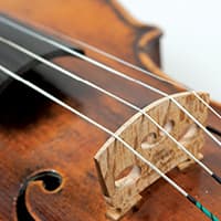 Violin Studio Recital — Classical & Jazz in Victoria