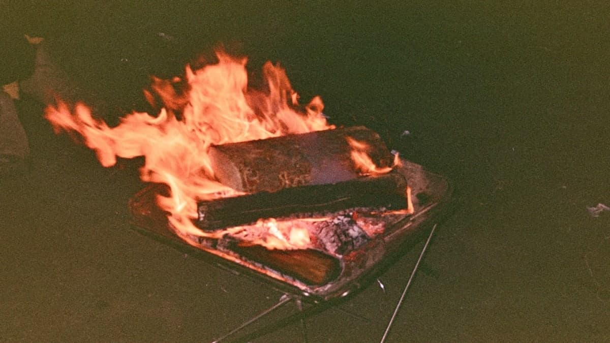 Big Bird Sit at Goldstream Day Use Parking Lot
