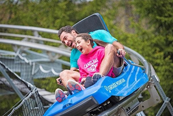Grouse Mountain Gravity Coaster (From $40, If You Hike Up The Mountain) at Cornerstone Community College (ESL)