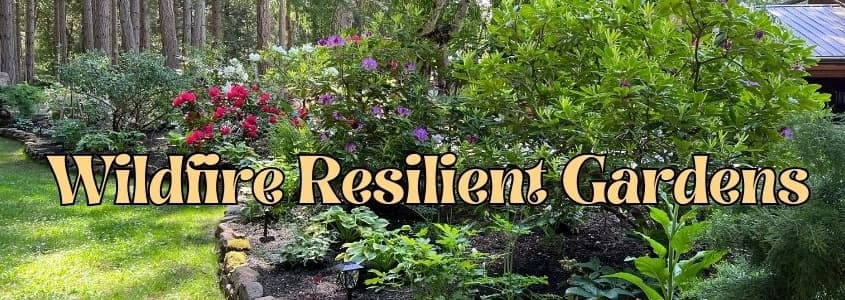 Wildfire Resilient Gardening — Learning & Workshops in Victoria