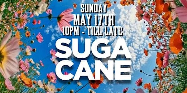 Suga Cane at The Rooftop YYC