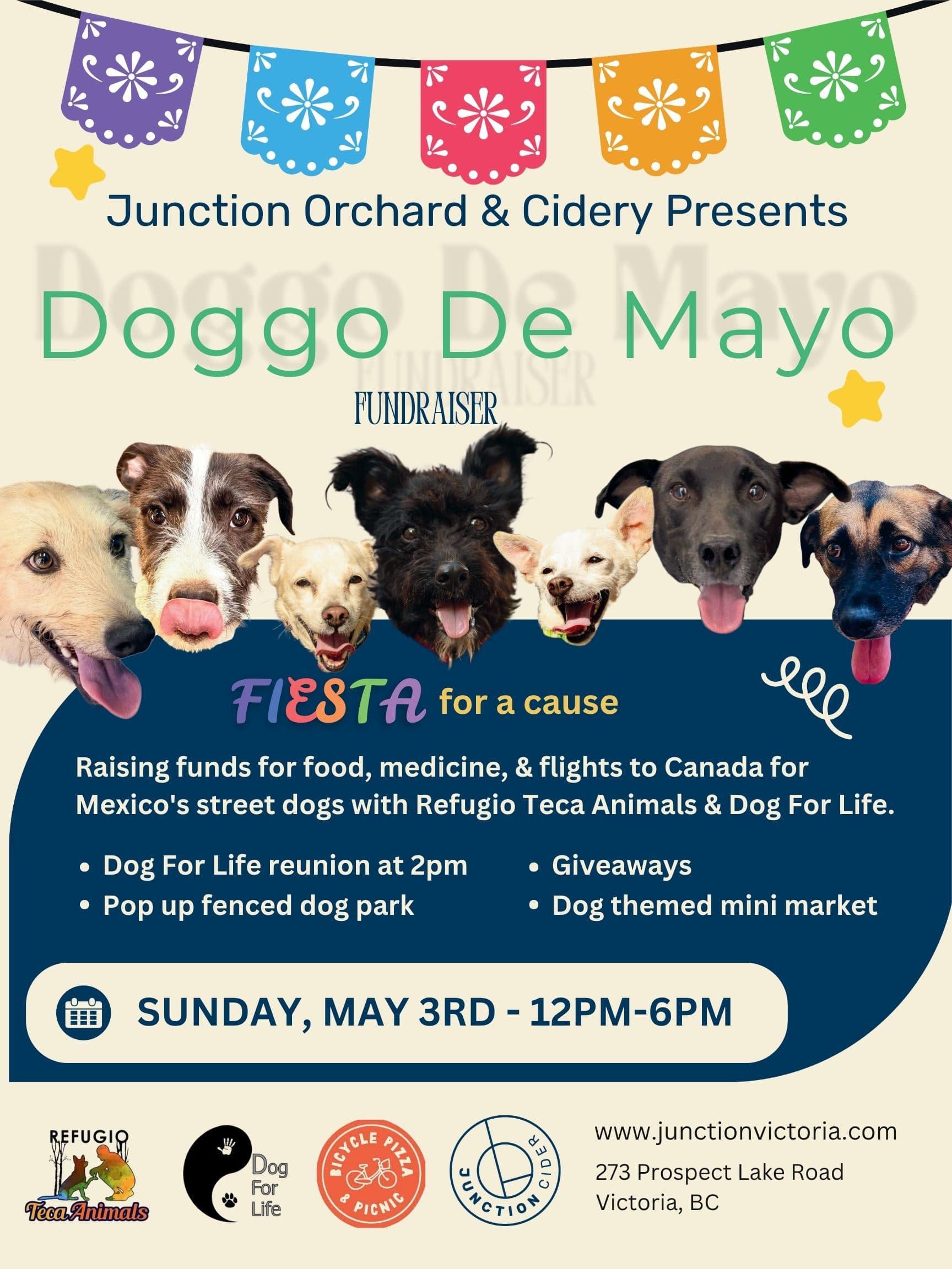 Doggo de Mayo Fundraiser at Junction Orchard & Cidery