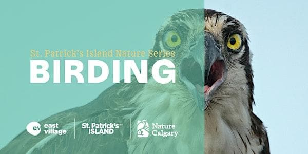 St. Patrick's Island Nature Series: BIRDING at 656 Confluence Way SE