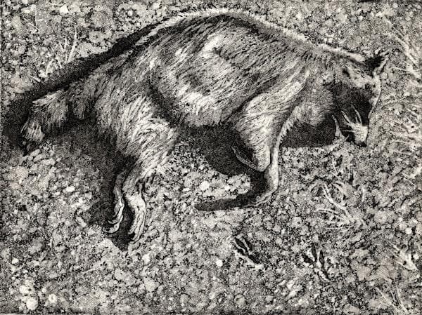 Electro-Etching Intaglio Demo at 849 Spring St suite b Friday Harbor