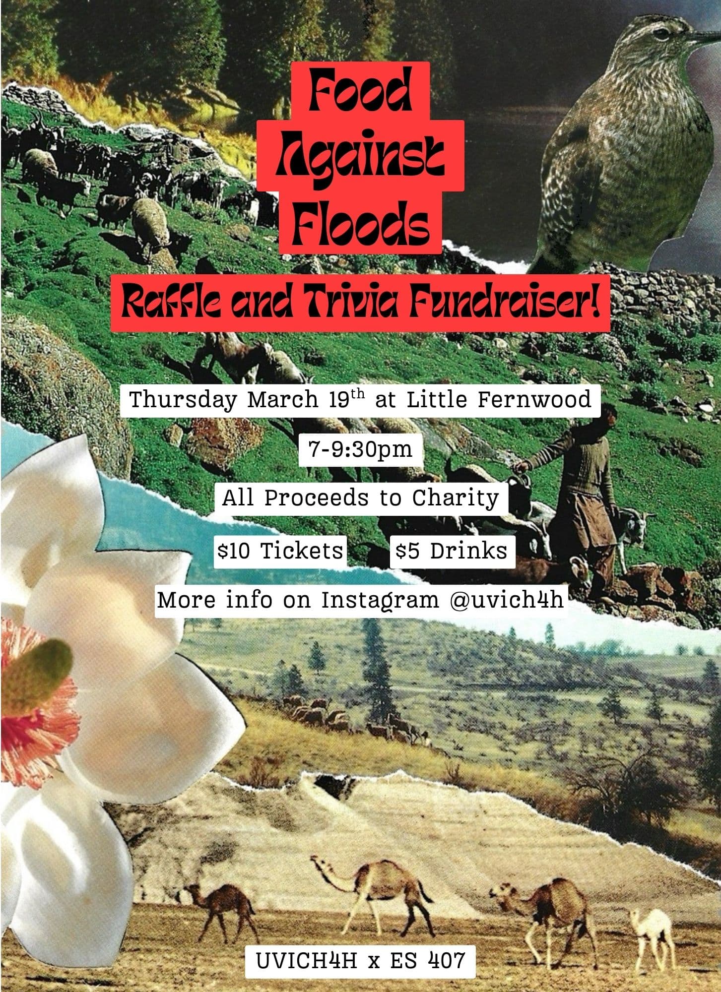 Food Against Floods Trivia Event — Fun n Games in Victoria