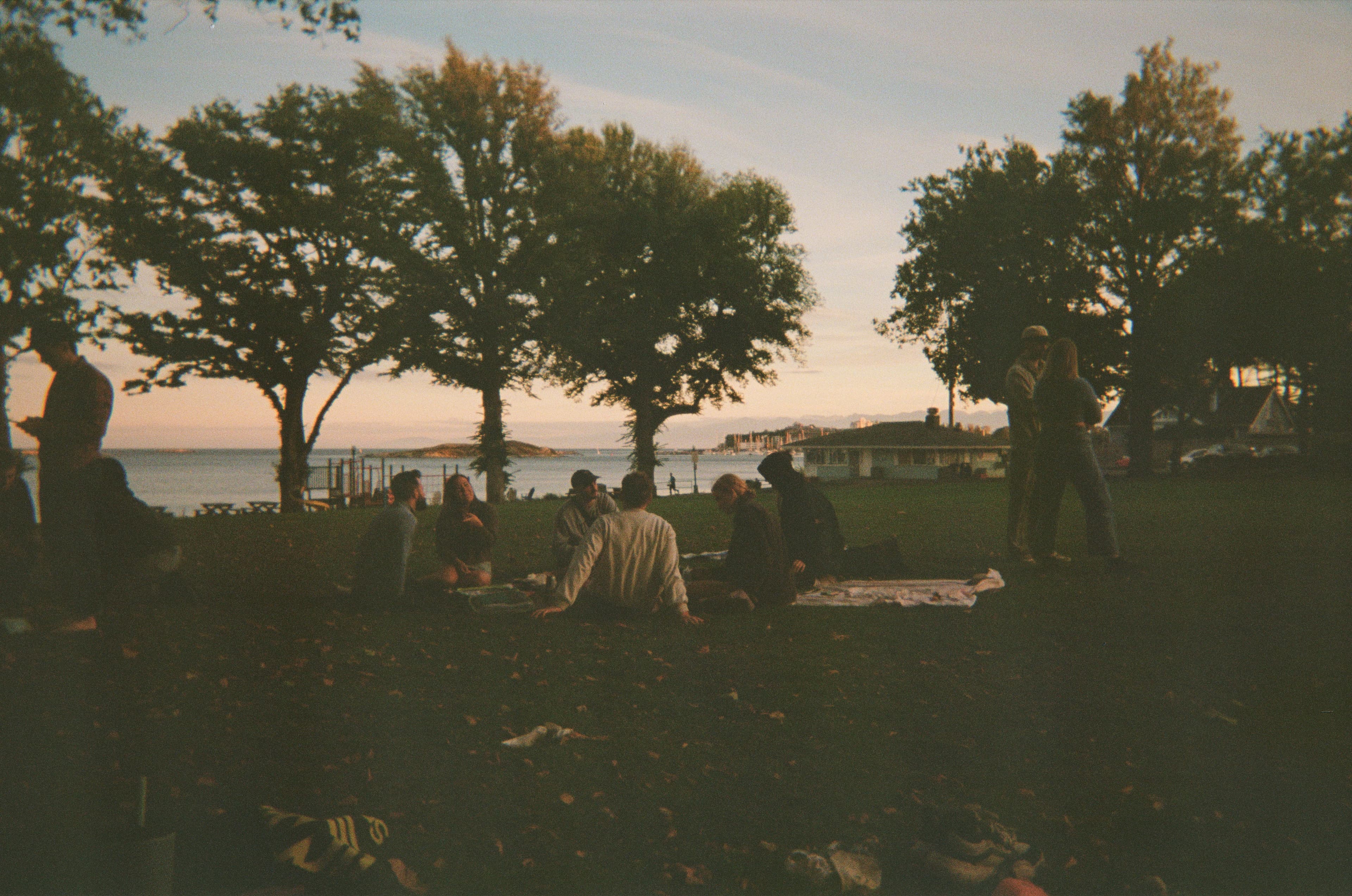 LampPost Cozy Cohort at TBA