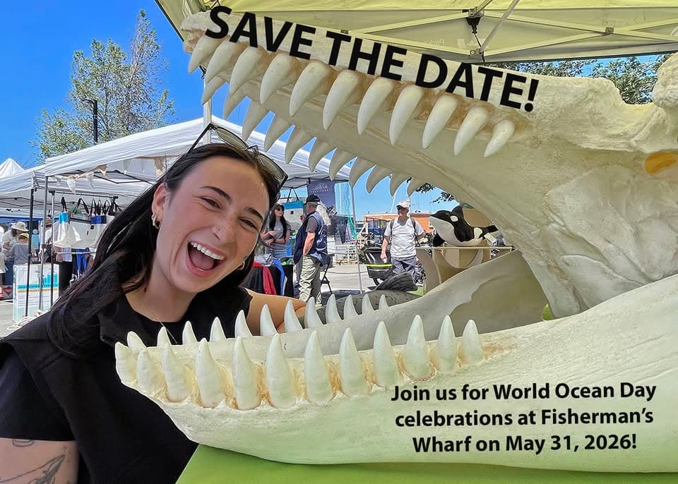 12th Annual World Ocean Day Celebrations @ Fisherman's Wharf at 1 Dallas Rd.