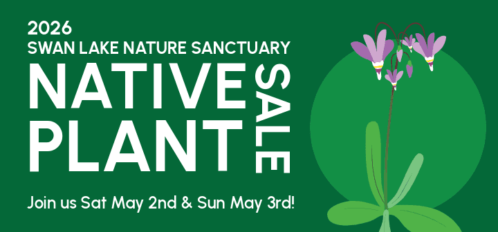 Swan Lake Native Plant Sale at Swan Lake Nature Sanctuary