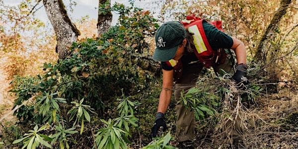 FREE Garry Oak Ecosystem Restoration at Garrett Place