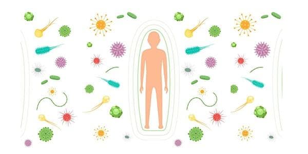 Take Home TCM: Supporting Immunity with Traditional Chinese Medicine at Heart & Hands Health CollectiveVictoria, BC