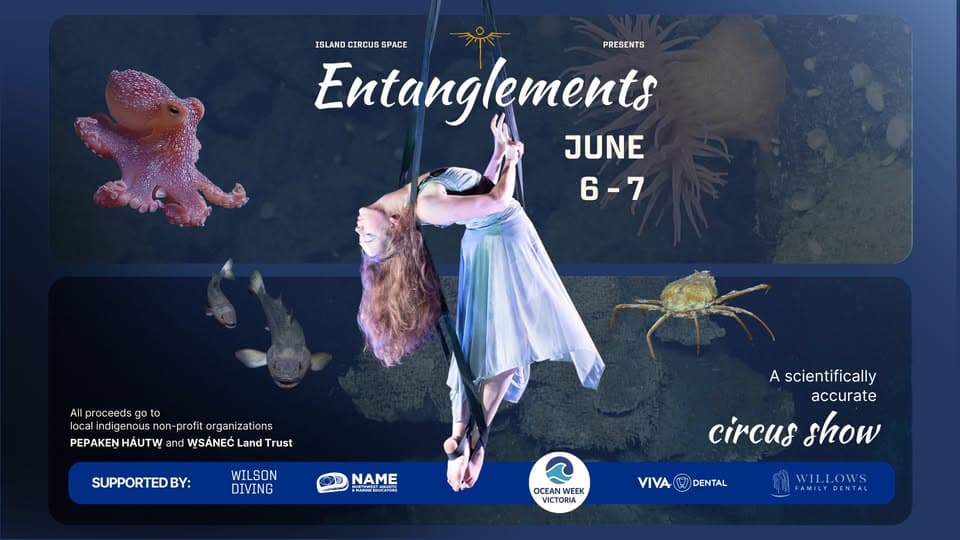 Entanglements: An Ocean Circus Show — Performing Arts in Victoria