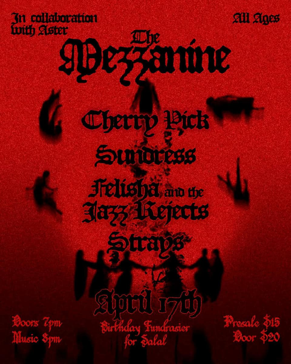 Cherry Pick, Sundress, Felisha And The Jazz Rejects, Strays at The Mezzanine