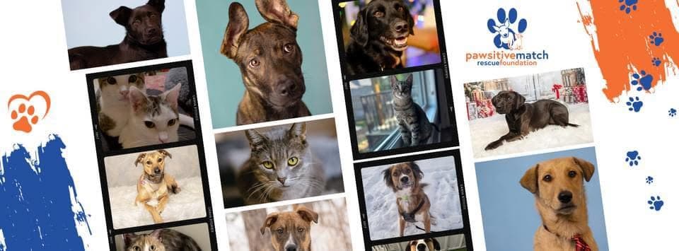 Wild Rose Brewery Adoption Event — Community Events in Calgary