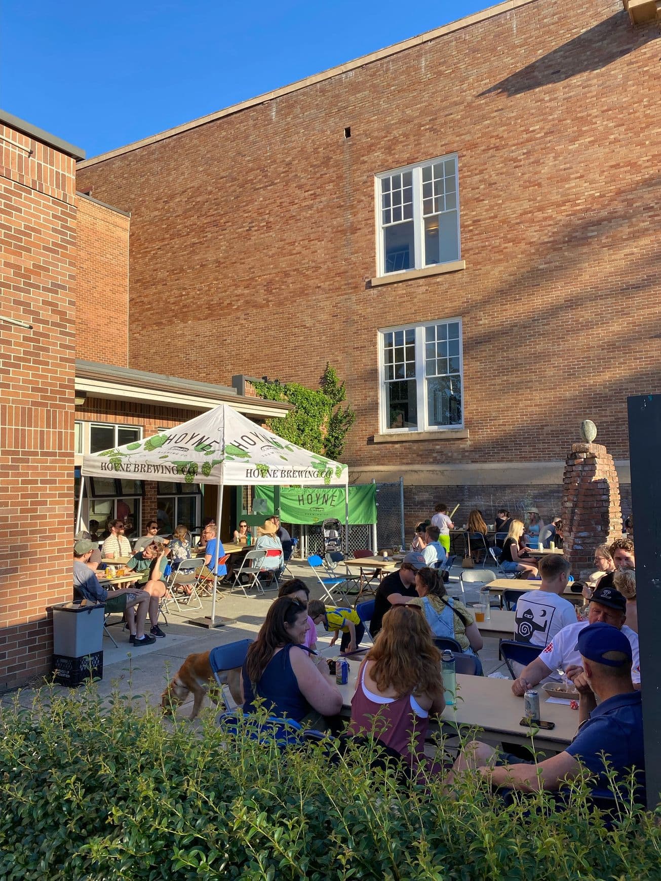 Queer Chess Club at Oaklands Community Centre