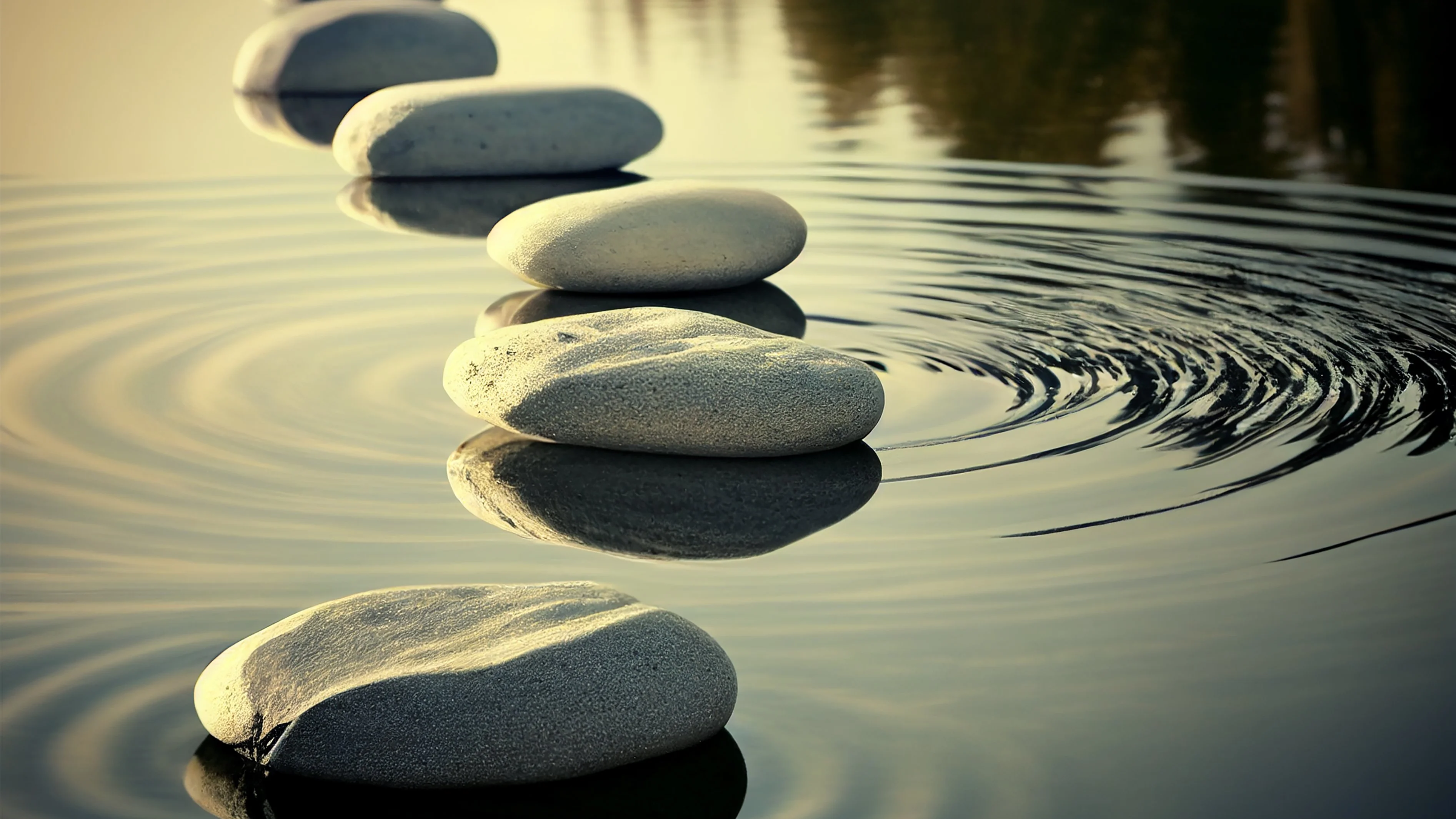 Walk, Talk, & Thrive - Free Women's Walking Group at Seasons of Bowness Park