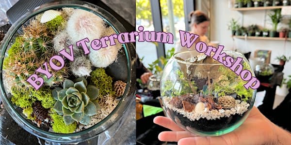 BYOV Terrarium Workshop at VI Plant Shop