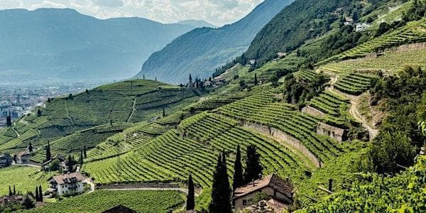 VINcabulary : Sips & Trips at Vessel Liquor