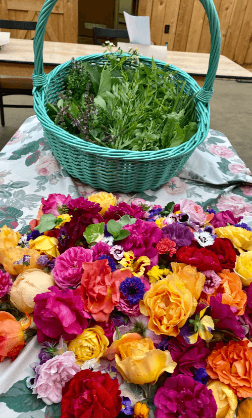 Edible Flower Gardening Workshop at Patio Gardens - 6536 West Saanich Rd.