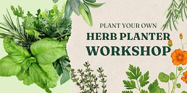 Kitchen Herb Planter Workshop at VI Plant Shop