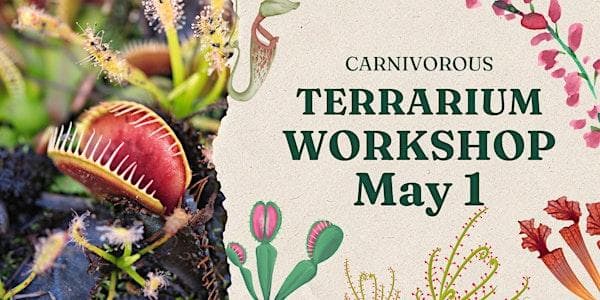 Carnivorous Terrarium Workshop at VI Plant Shop