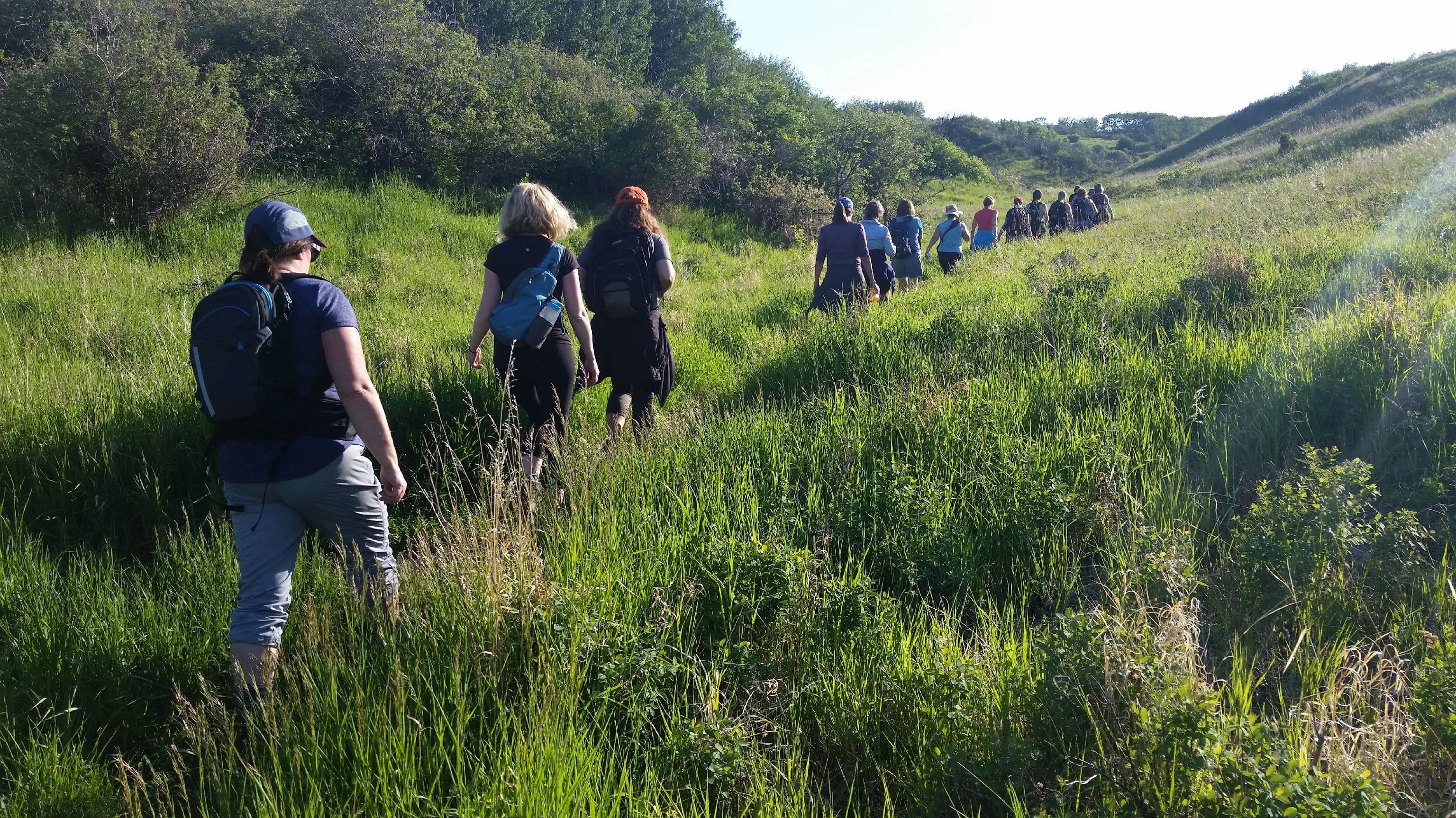 Tuesday Evening Urban Walk / Nose Hill 1 at Nose Hill Many Owls Valley Parking Lot