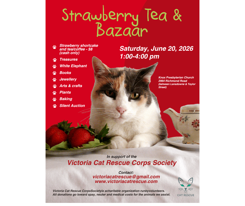 Strawberry Tea & Bazaar — Foodie Events in Victoria