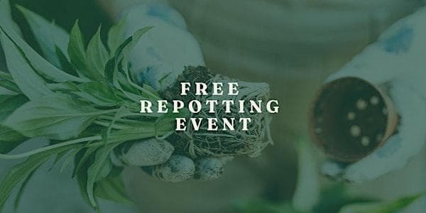 Free Spring Repotting Event at VI Plant Shop