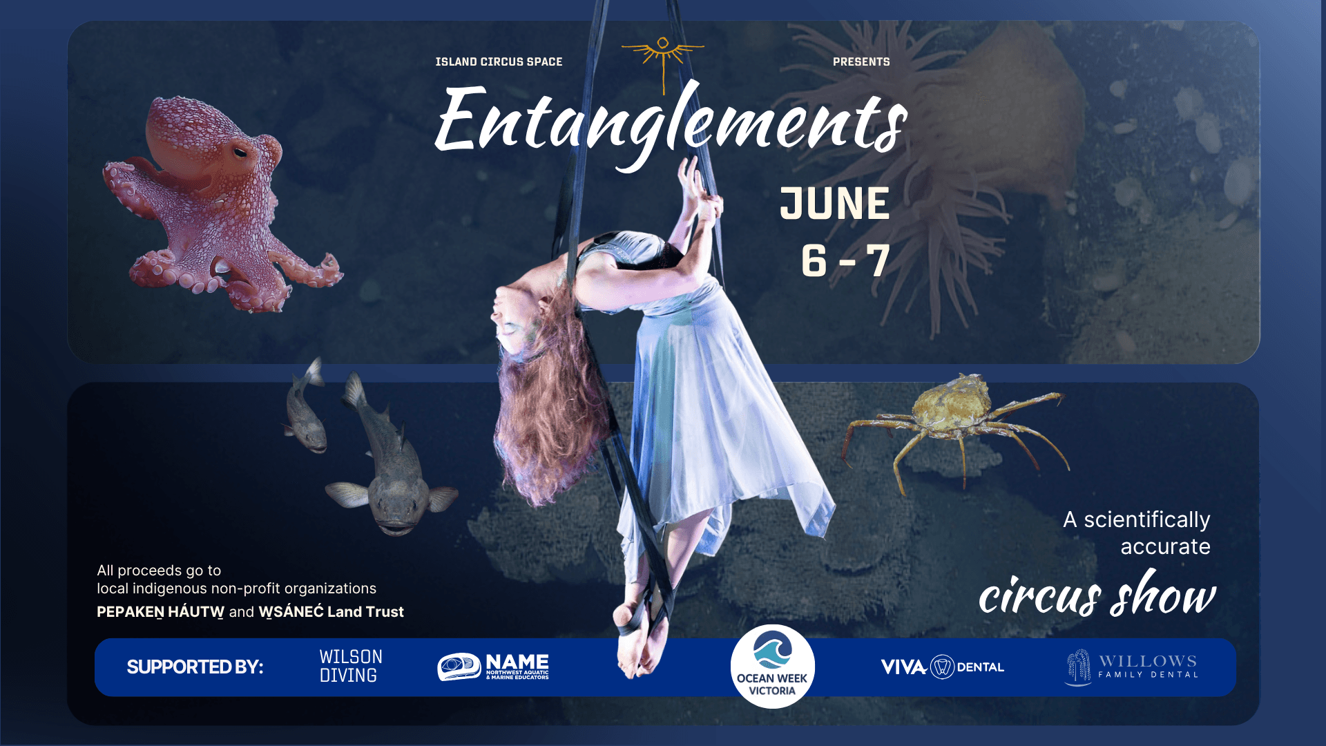 Entanglements: An Ocean Circus Show at 903 Devonshire Road