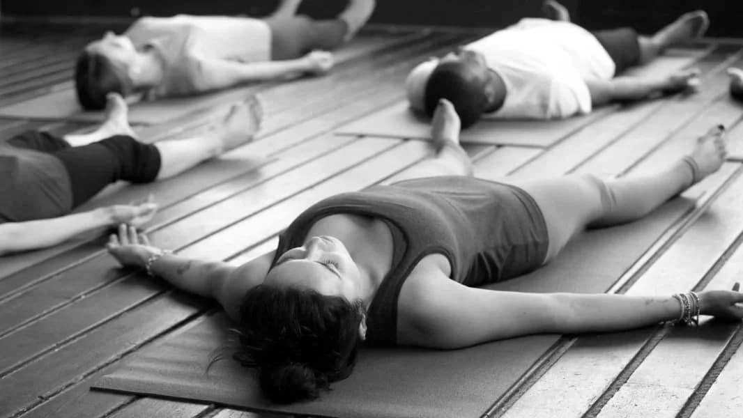 Yin Yoga, Meditation & Sound Journey at Wild Roots Dance & Yoga