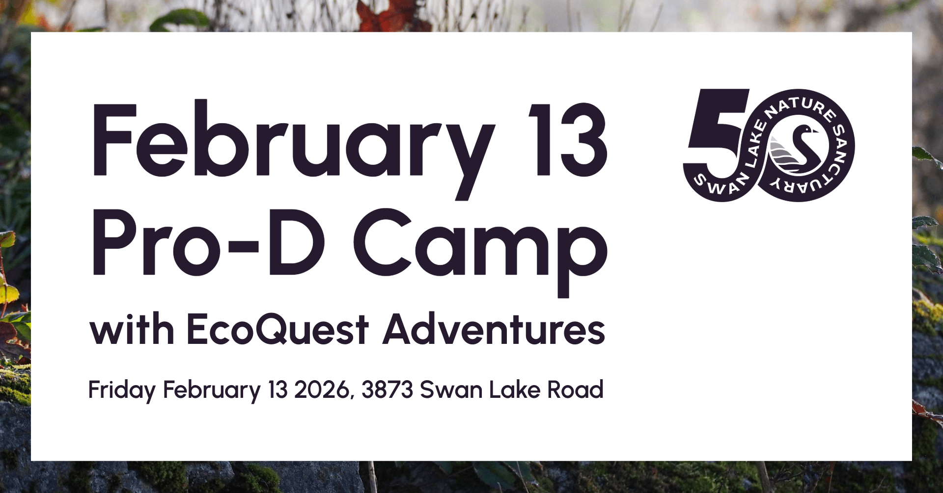 Ecoquest Adventures x Swan Lake Pro-D Day Camp at Swan Lake Nature Sanctuary