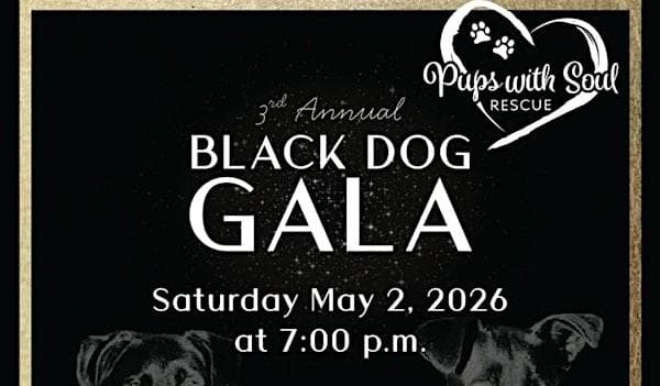 Black Dog Gala 2026 at The Park Kitchen & Bar