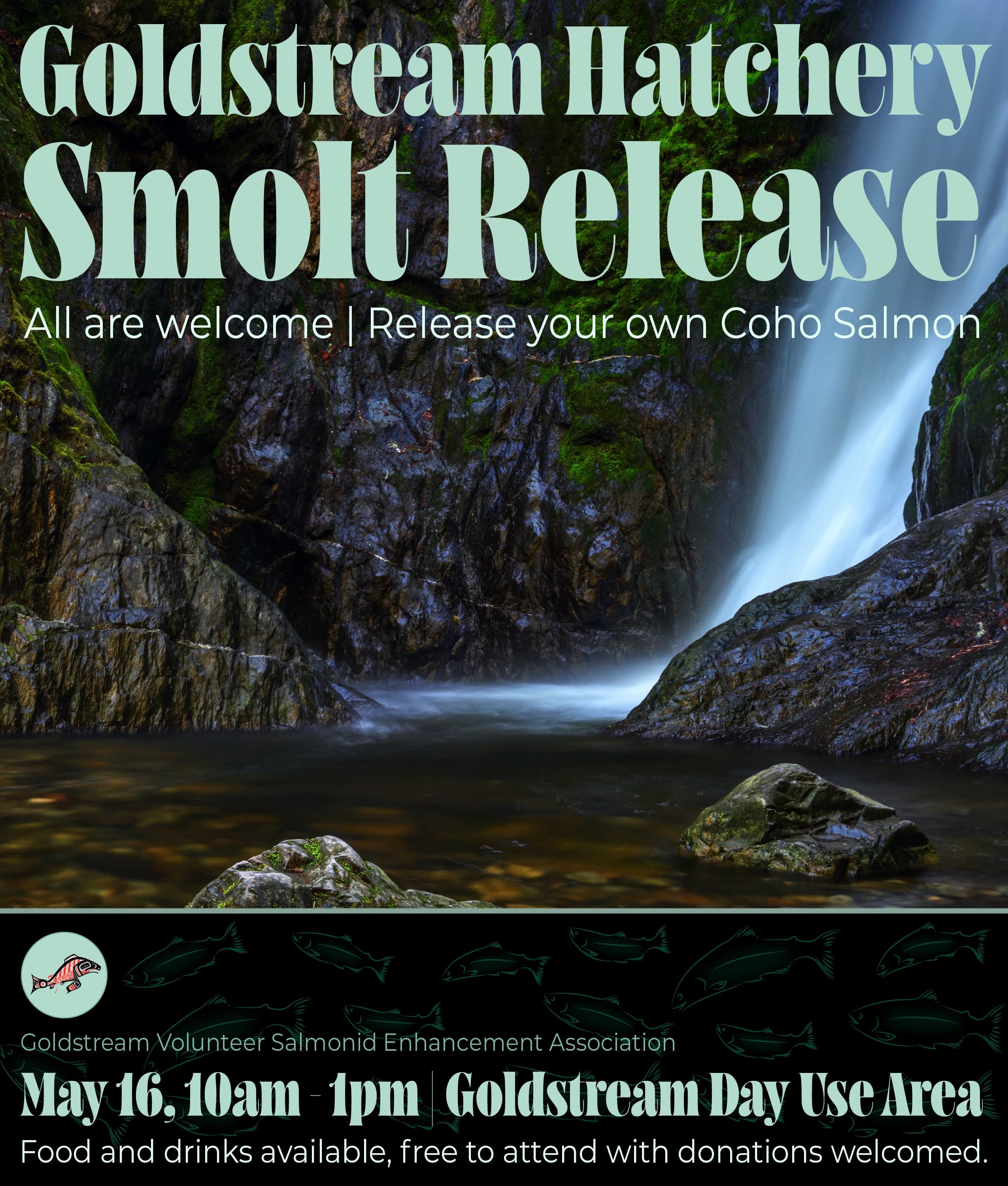 Goldstream Hatchery Smolt Release at Goldstream Provincial Park Day Use Area