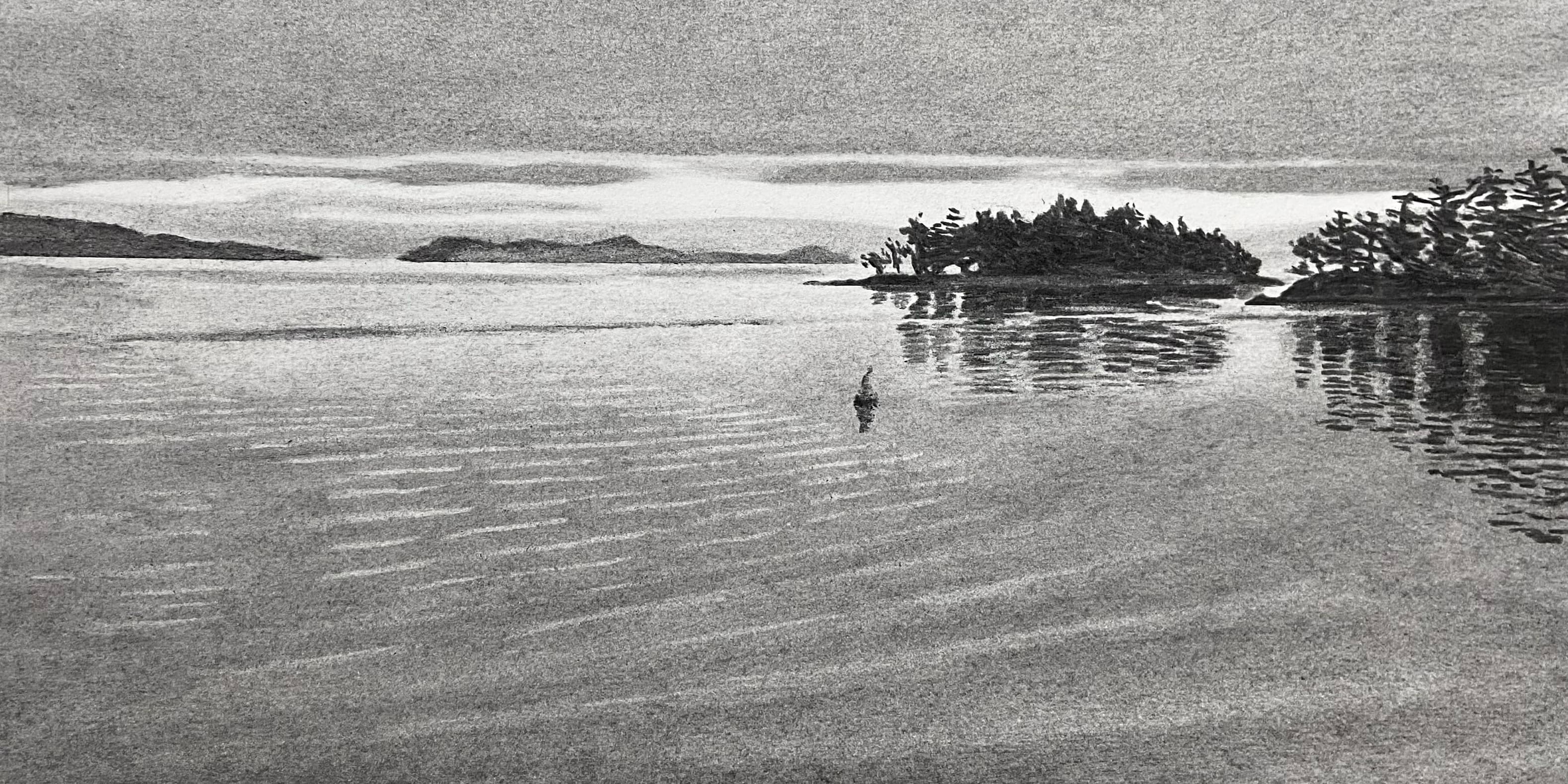 Fermata: Charcoal drawings by Liz Charsley at Gage Gallery, 19 Bastion Square Victoria, BC, V8W 1J1