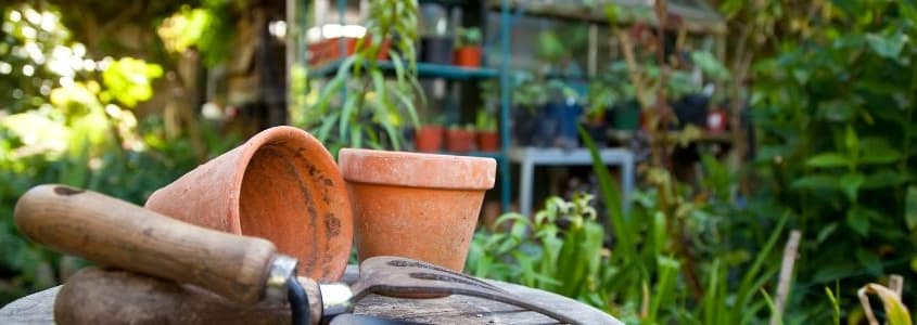 Introduction to Permaculture at Horticulture Centre of the Pacific