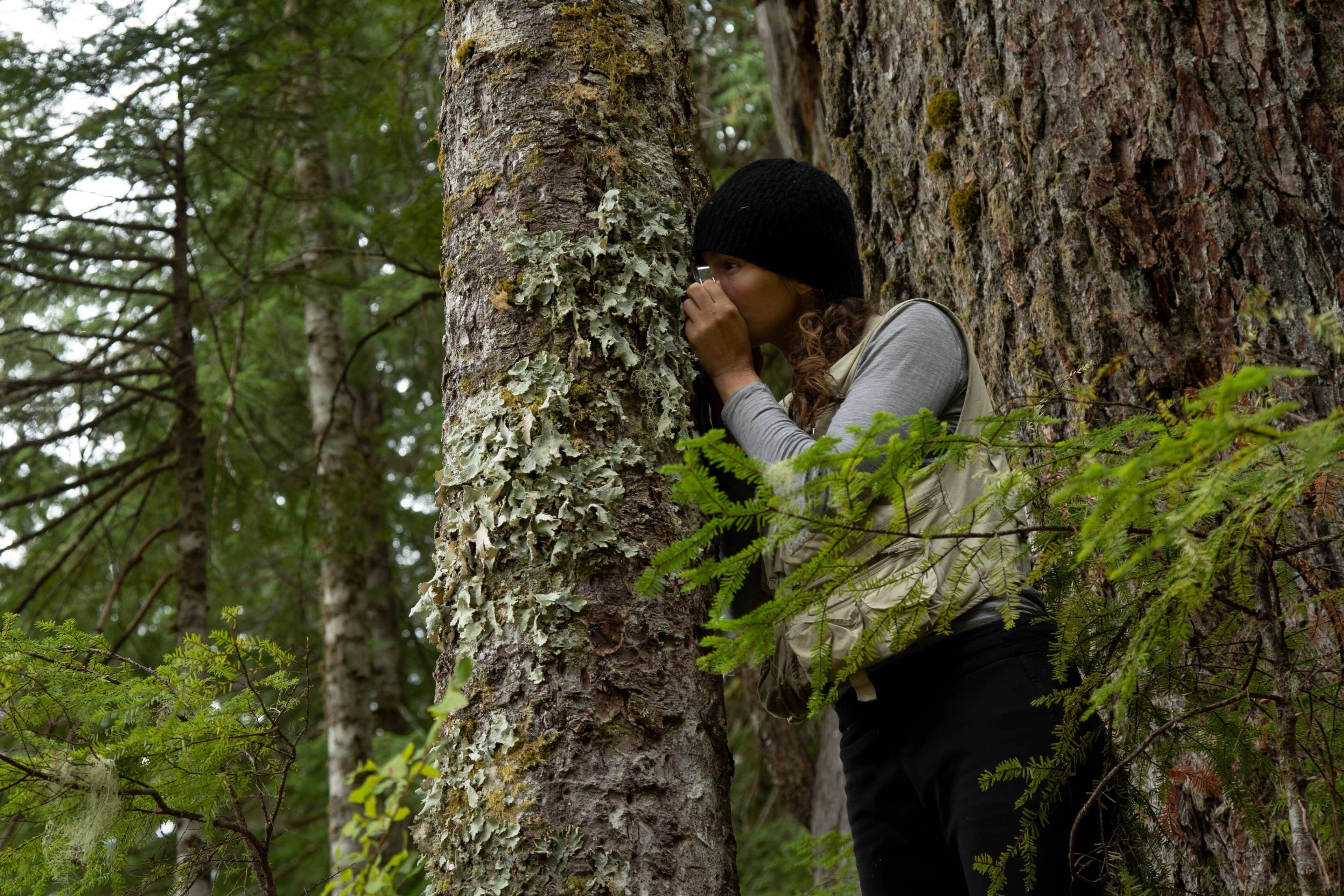 Greater Victoria City Nature Challenge: Drop-in Lichen Walk with Tasha Lavdosky at Swan Lake Nature Sanctuary