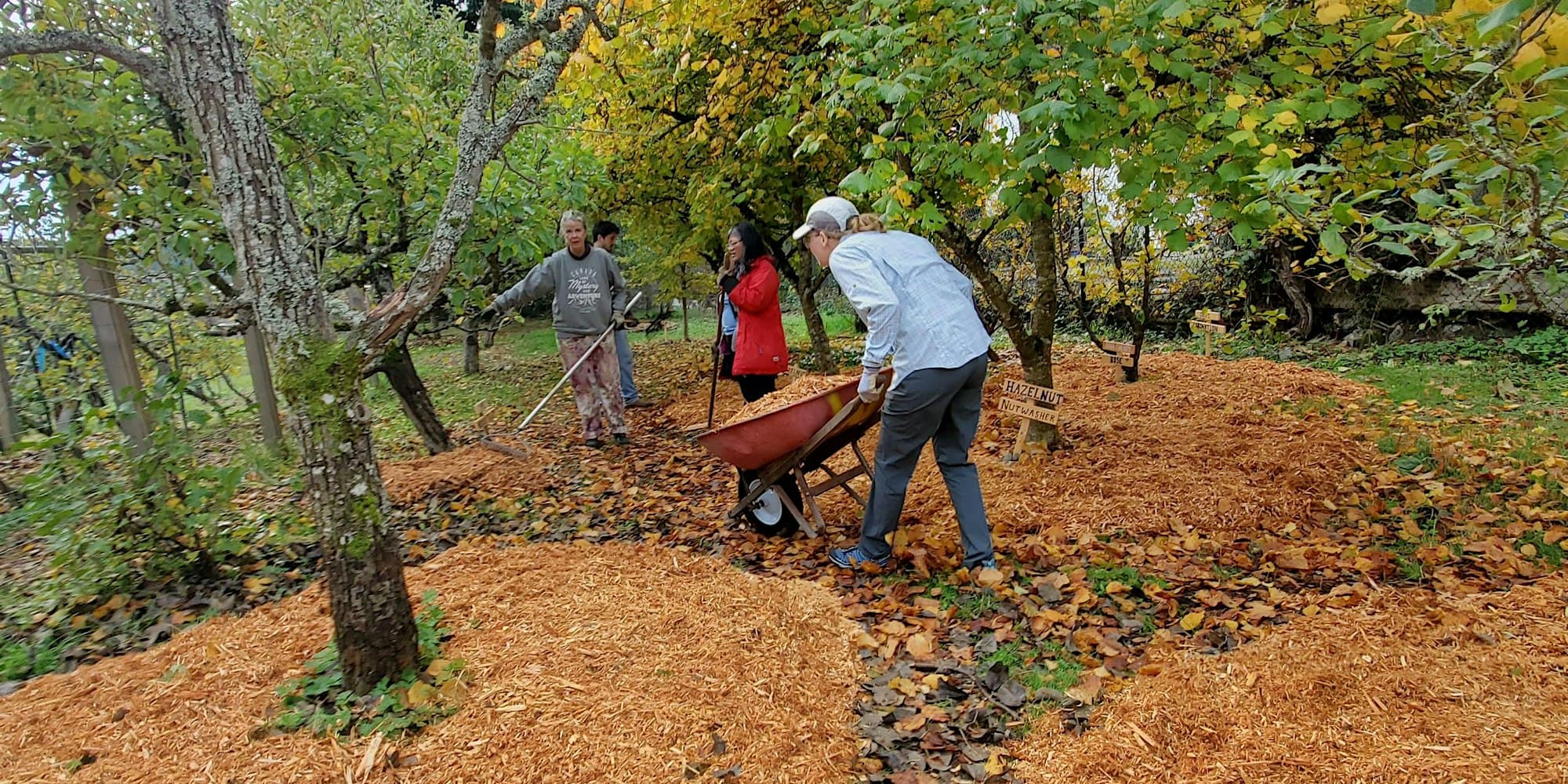 A Year In The Life Of A Fruit Tree at Welland Legacy Park & Community Orchard
