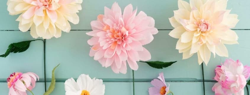 Cut Flower Gardening — Learning & Workshops in Victoria