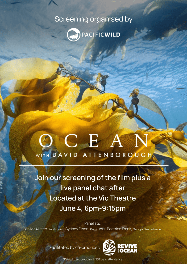 Film Screening: Ocean with David Attenborough and Panel Discussion at The Vic Theatre