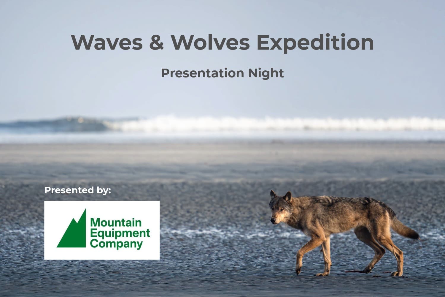 Waves & Wolves Expedition - Presentation Night at MEC Victoria — Community Events in Victoria