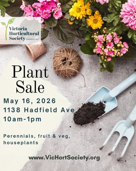 Plant sale (great prices!) at Plant sale
