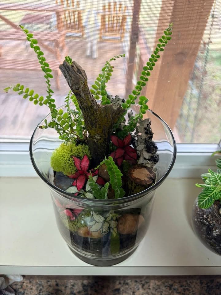 Create Your Own Terrarium at Vic West Community Association