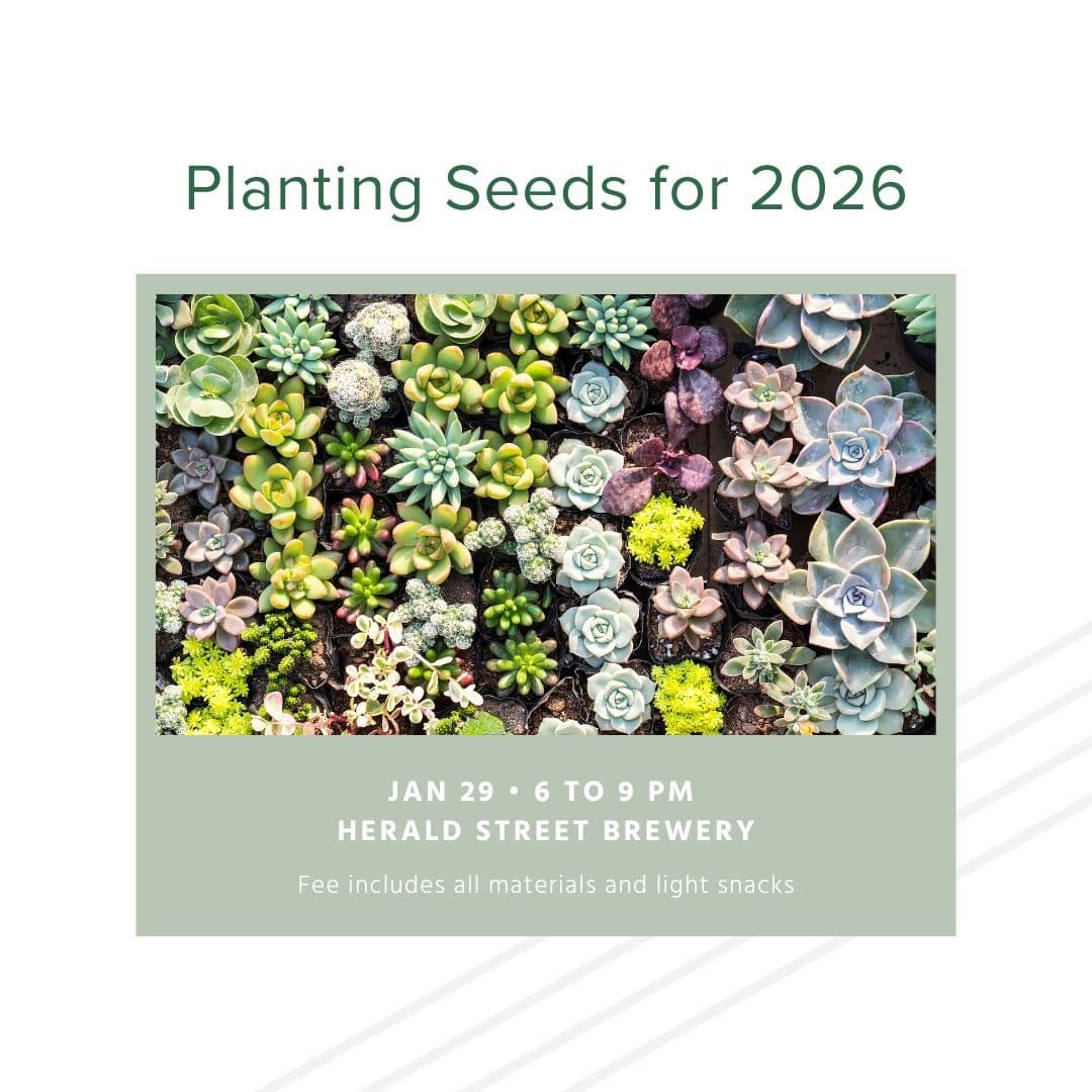 Planting Seeds for 2026 at Herald Street Brew Works: 506 Herald St, Victoria, BC V8W 1S6