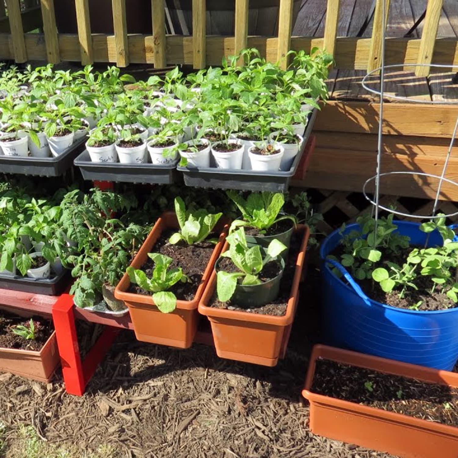 Container Gardening Workshop — Learning & Workshops in Victoria