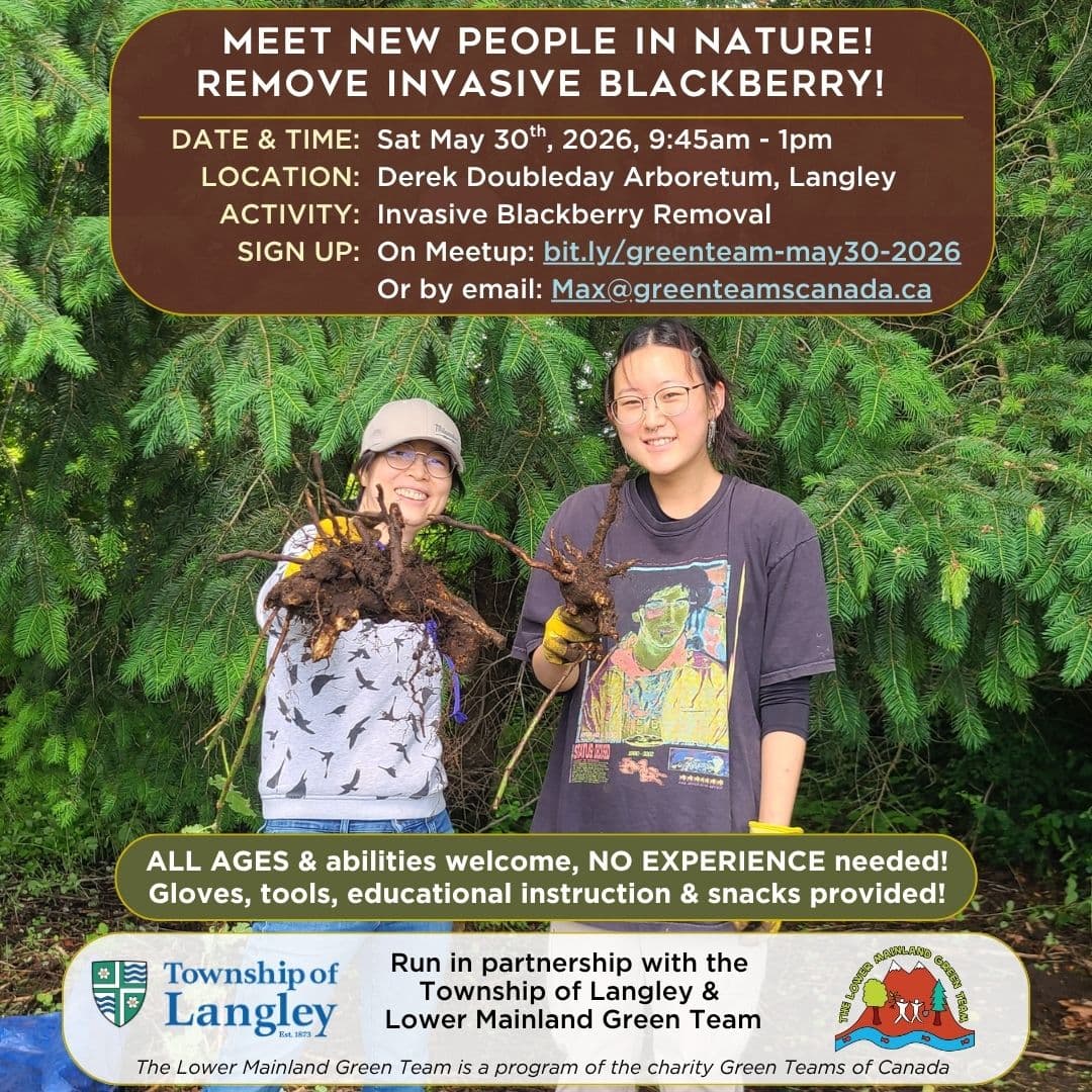 Make Friends & Remove Invasive Blackberry @ Derek Doubleday Arboretum, Langley! at Derek Doubleday Arboretum, Langley