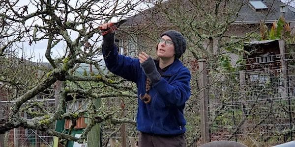 Winter Fruit Tree Pruning at Welland Legacy Park & Community OrchardVictoria